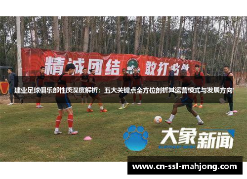 建业足球俱乐部性质深度解析：五大关键点全方位剖析其运营模式与发展方向