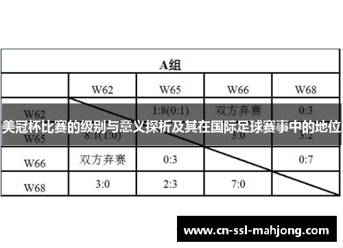 美冠杯比赛的级别与意义探析及其在国际足球赛事中的地位