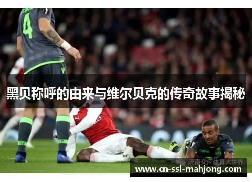 黑贝称呼的由来与维尔贝克的传奇故事揭秘