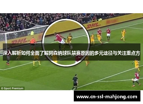 深入解析如何全面了解阿森纳球队禁赛原因的多元途径与关注重点方 深入解析如何全面了解阿森纳球队禁赛原因的多元途径与关注重点方