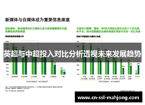 英超与中超投入对比分析透视未来发展趋势
